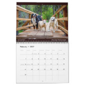 Matilda, Liebe und Light 2021 Kalender (Feb 2027)