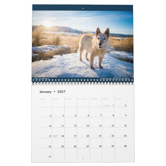 Matilda, Liebe und Light 2021 Kalender (Jan 2027)