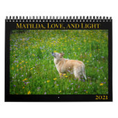 Matilda, Liebe und Light 2021 Kalender (Titelbild)