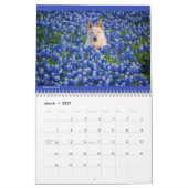 Matilda & Petunia Calendar 2026 Kalender (Mär 2027)
