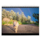 Matilda & Petunia Kalender 2026 (Titelbild)