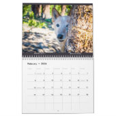 Matilda Stardust und Liebe 2025 Kalender (Feb 2026)