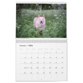 Matilda und der Kalender der Blumen-2019 (Jan 2026)