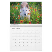 Matilda und der Kalender der Blumen-2019 (Mär 2027)