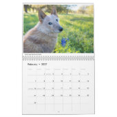 Matilda und der Kalender der Blumen-2019 (Feb 2027)