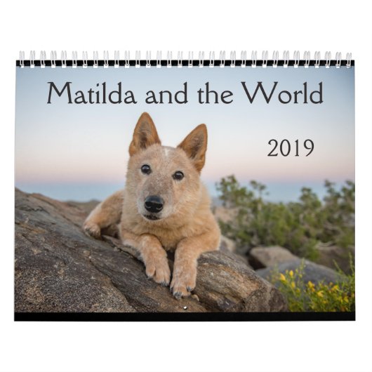 Matilda und der Kalender der Welt2019 (Titelbild)
