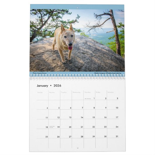 Matildas Joy 2023 Kalender (Jan 2026)