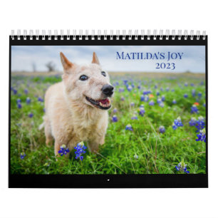Matildas Joy 2023 Kalender