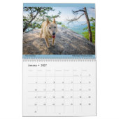 Matildas Joy 2023 Kalender (Jan 2027)