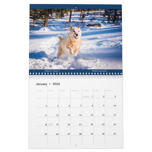 Matildas Kalender 2024 (Jan 2026)