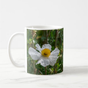 Matilija Poppy Tasse