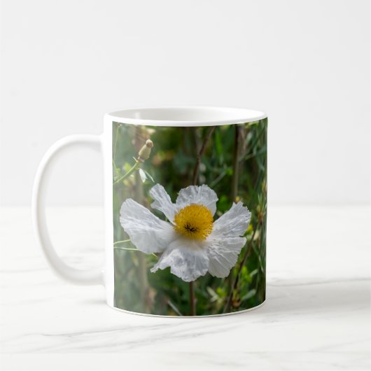 Matilija Poppy Tasse (Links)