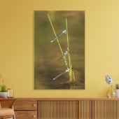 Mating Damselflies Leinwanddruck (Insitu (Wohnzimmer))
