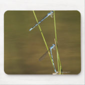 Mating Damselflies Mousepad (Vorne)