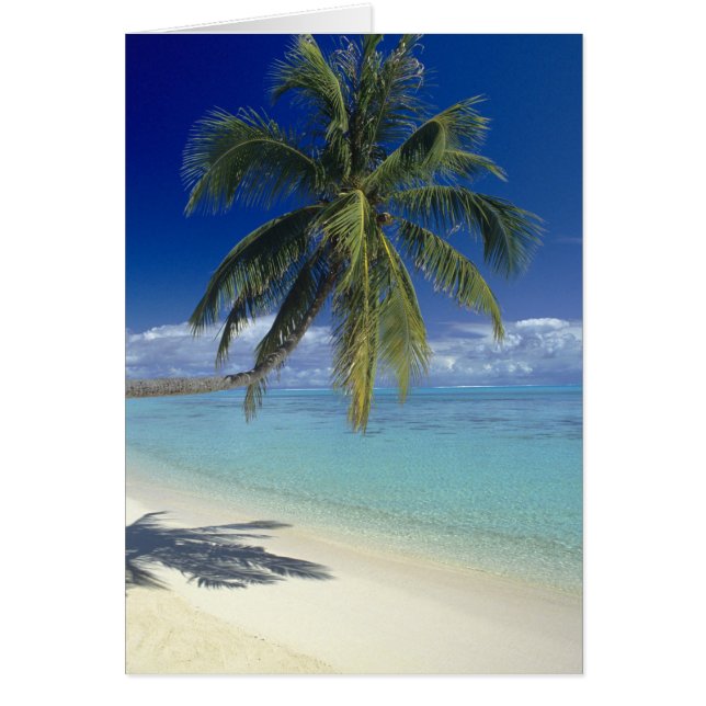 Matira Beach auf der Insel Bora Bora, Gesellschaft (Vorne)