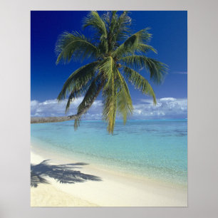 Matira Beach auf der Insel Bora Bora, Gesellschaft Poster