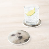 Matisse - ein Bichon Frise - Untersetzer (Seite)