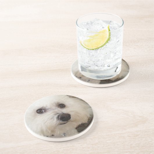 Matisse - ein Bichon Frise - Untersetzer (Seite)