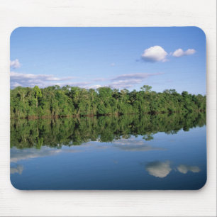 Mato Grosso Bundesstaat, Amazonas, Brasilien. Bewa Mousepad