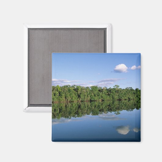 Mato Grosso Staat, Amazon, Brasilien. bewaldet Magnet (Vorderseite/Rückseite)