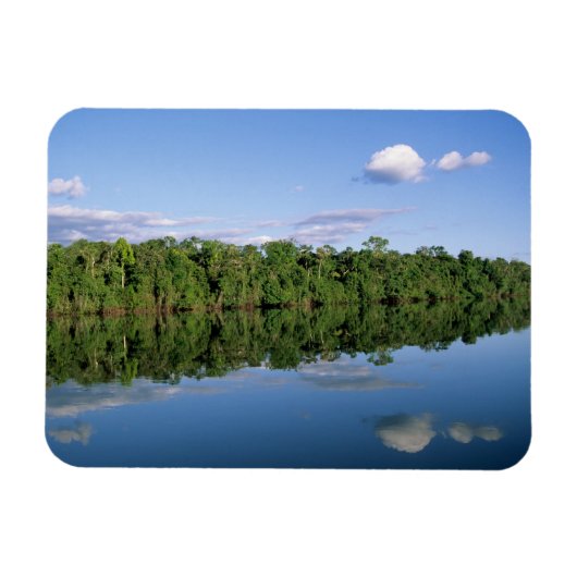 Mato Grosso Staat, Amazon, Brasilien. bewaldet Magnet (Horizontal)