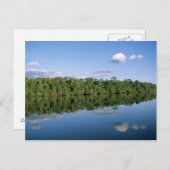 Mato Grosso Staat, Amazon, Brasilien. bewaldet Postkarte (Vorne/Hinten)