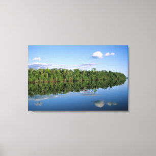 Mato Grosso Staat, Amazonien, Brasilien. Bewaldet Leinwanddruck