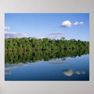 Mato Grosso Staat, Amazonien, Brasilien. Bewaldet Poster