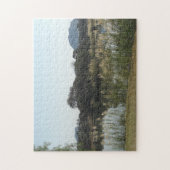 Matopos Hügel, Simbabwe Puzzle (Vertikal)