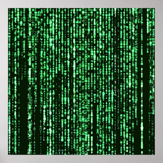 Matrix Code Be a warrior againt the system Poster (Vorne)