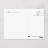 Matryoshka Ukrainische Volkskunst Postkarte (Rückseite)