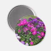 Matsumoto-Blume-Magnet Magnet (Vorderseite/Rückseite)