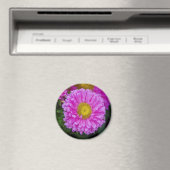Matsumoto-Blume-Magnet Magnet (In Situ (Geschirrspüler))