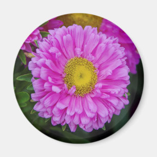Matsumoto-Blume-Magnet Magnet