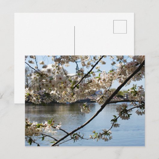 Matsuri Postkarte (Vorne/Hinten)