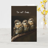 Matt 10:31 Comforting Hochwertige Vögel der Bibel Karte (Gelbe Blume)