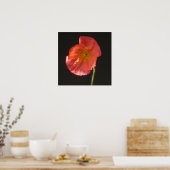 Matt Print - Nahe Blume Poster (Küche)