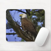 Matte Bald Eagle Gel Mouse Pad Mousepad (Mit Mouse)