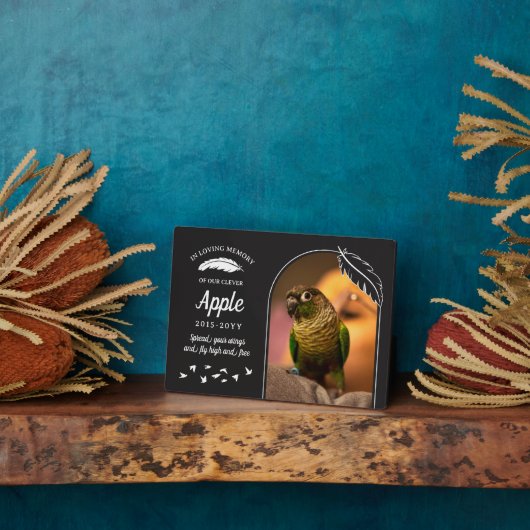 Matte Black Feathers in Love Memory Pet Bird Fotoplatte (Seite)