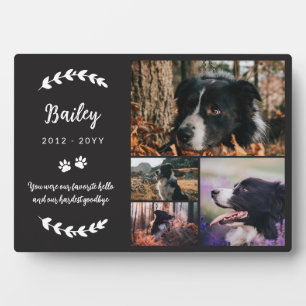 Matte Black Paws & Greenery 4 Fotos Pet Memorial Fotoplatte