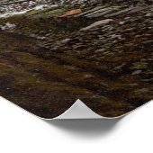 Matterhorn in den Schweizer Alpen Poster (Ecke)