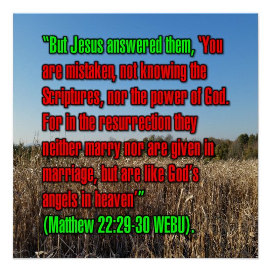 Matthäus 22:29-30 WEBU Poster (Vorderseite)