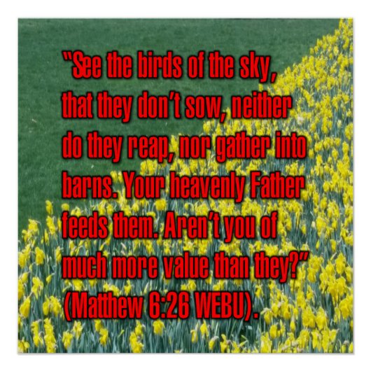 Matthäus 6:26 WEBU Poster (Vorderseite)