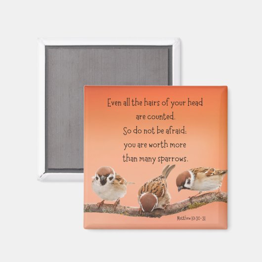 Matthew 10:30-31 2" Magnet (Vorderseite/Rückseite)