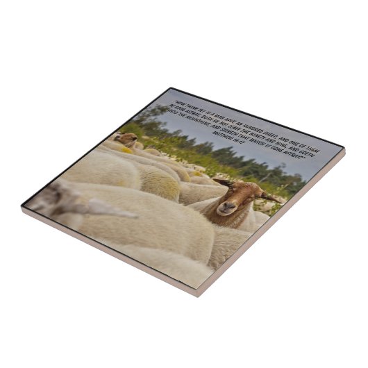 Matthew 18:12 fliese (Seite)