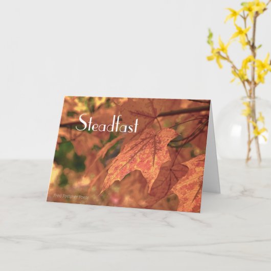 Matthew 24:35 karte (Gelbe Blume)