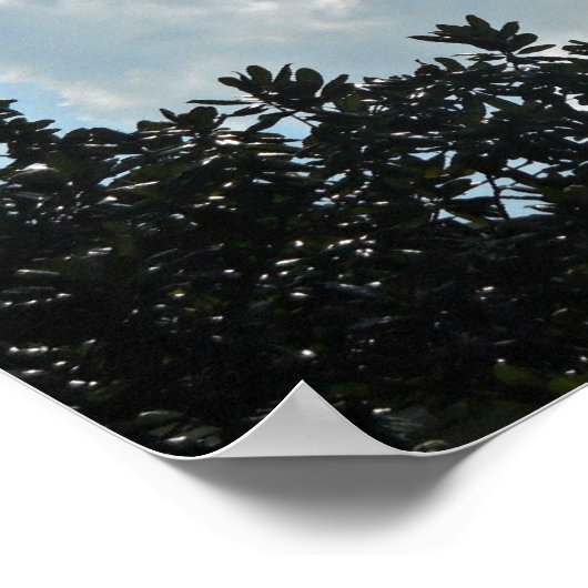 Matthew 25:13 Achten Sie deshalb, denn ihr wisst j Poster (Ecke)