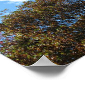 Matthew 28:`19 Darum geht und macht Jünger... Poster (Ecke)