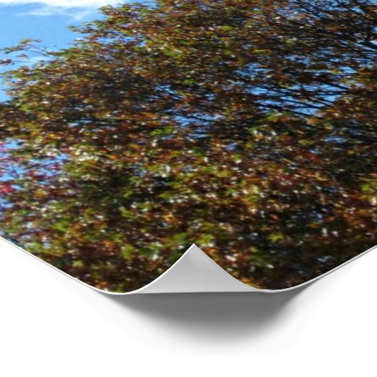 Matthew 28:`19 Darum geht und macht Jünger... Poster (Ecke)