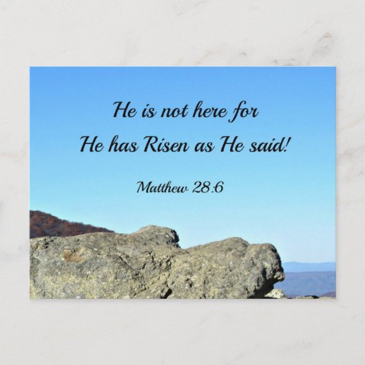Matthew 28:6 Er ist nicht hier, denn Er ist aufgew Postkarte (Vorderseite)